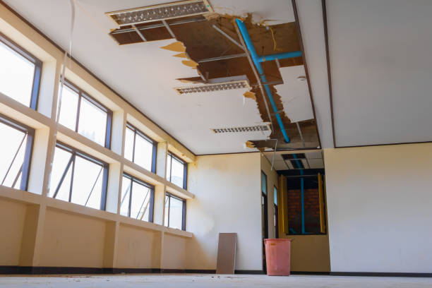 Best Local water damage restoration  in West Sharyland, TX