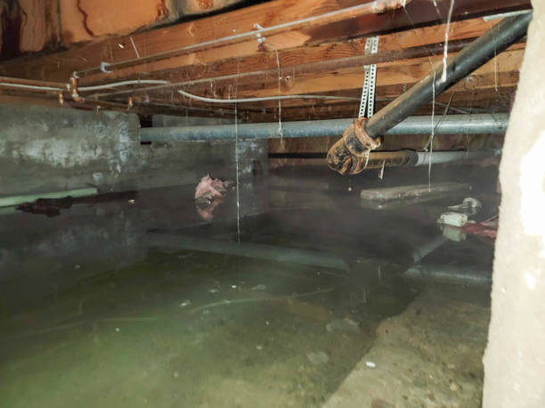 Best 24/7 water damage repair  in West Sharyland, TX