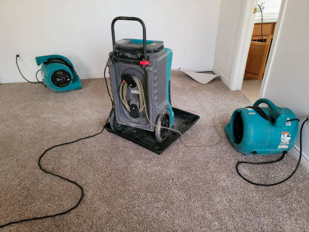 Best Flooded house restoration  in West Sharyland, TX