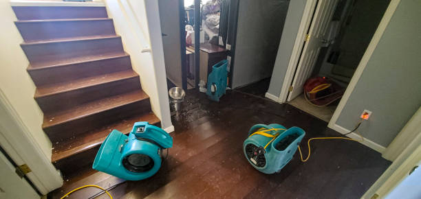  West Sharyland, TX Water damage restoration Pros